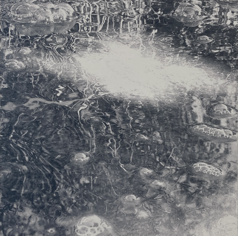 Black and white photo print titled 'Water mirror', 2025