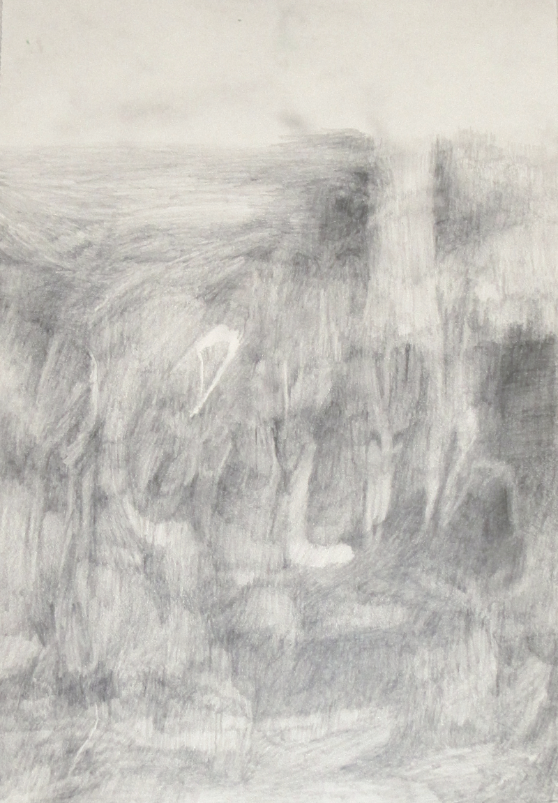 graphite drawing